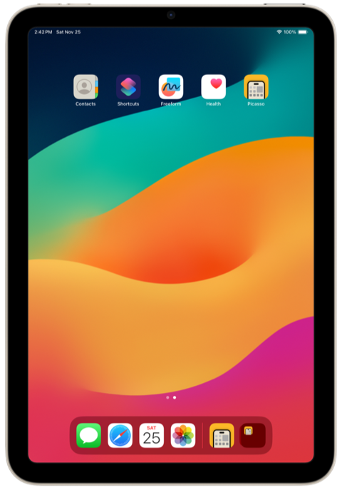 iPad mini